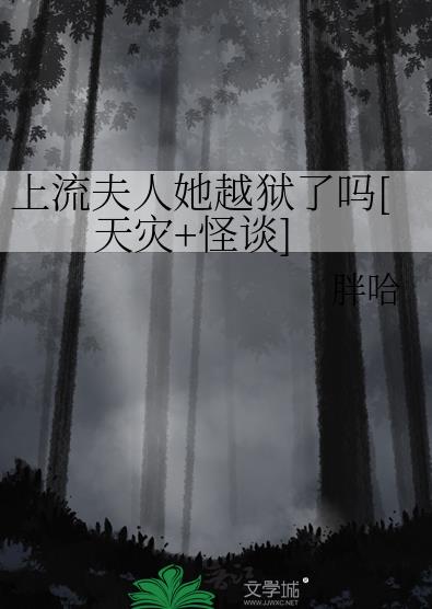 上流人士小说